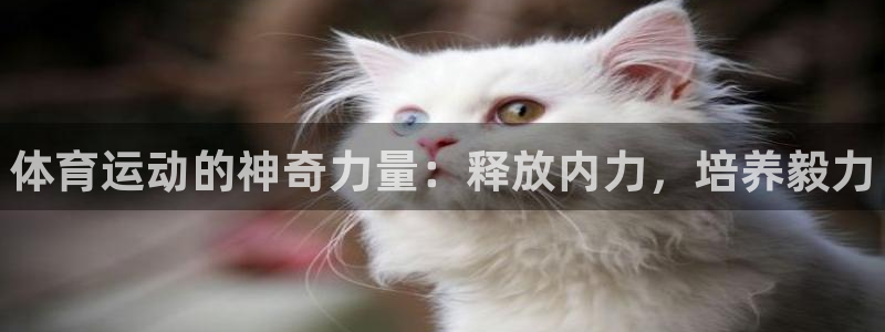 oety欧亿体育官网下载招商电话号码是多少：体育运动