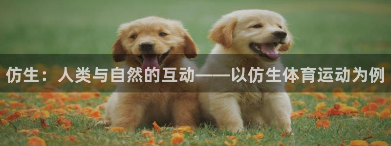 欧亿体育官方正版app科技：仿生：人类与自然的互动—