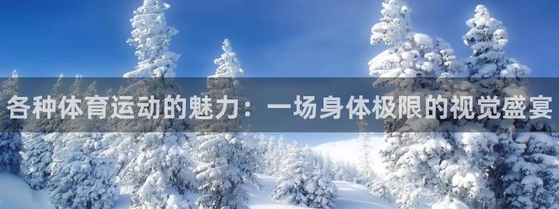 oety欧亿体育官网下载招商电话号码：各种体育运动的