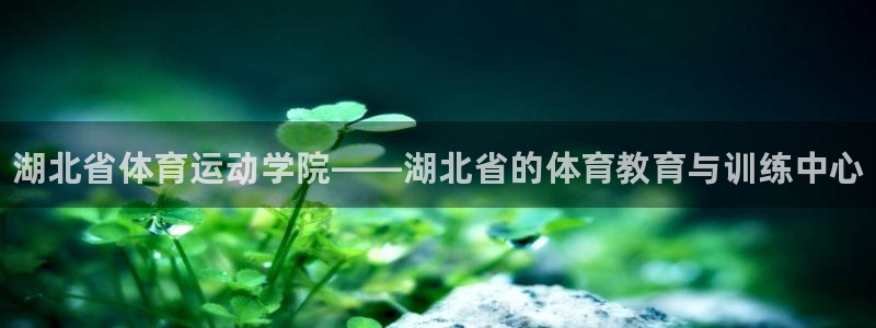 欧亿体育官方正版app娱乐下载：湖北省体育运动学院—