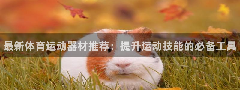 欧亿体育官方平台体育：最新体育运动器材推荐：提升运动
