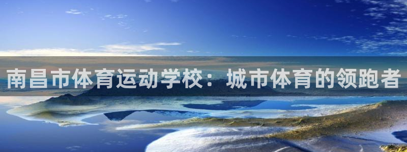 欧亿体育官方正版app集团E.ON：南昌市体育运动学