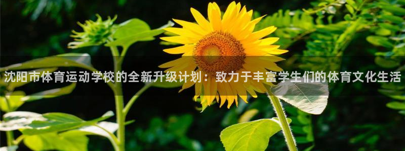 欧亿体育官方正版app娱乐：沈阳市体育运动学校的全新