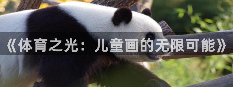 oety欧亿体育官网下载官方客服电话：《体育之光：儿童画的无
