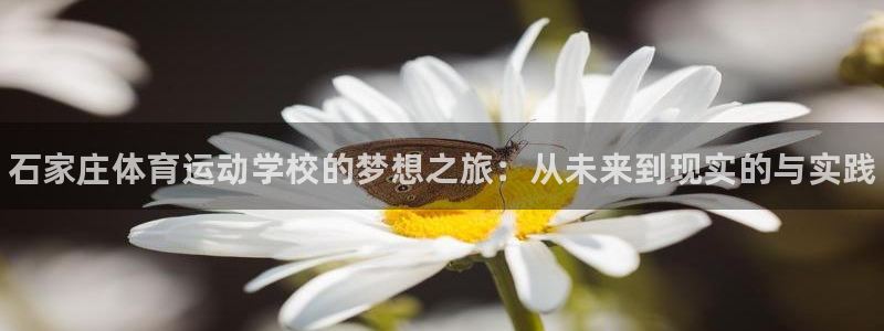 欧亿体育官方集团官网