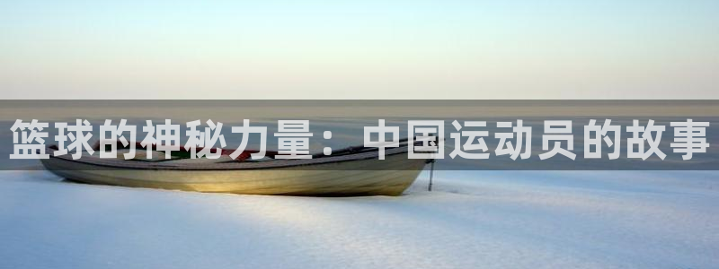 oety欧亿体育官网下载平台注册要钱吗是真的吗：篮球的神秘力