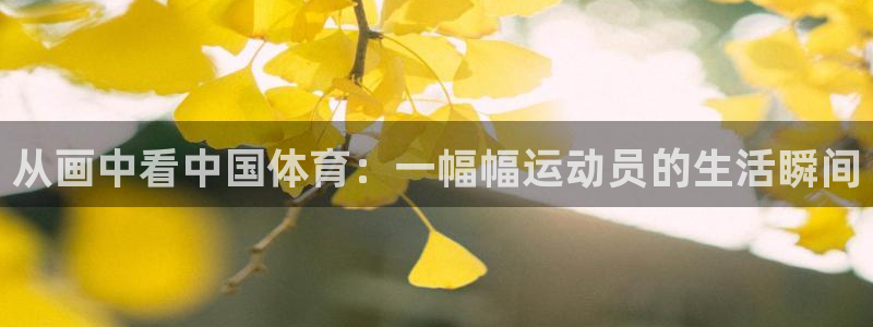 oety欧亿体育官网下载招商电话地址查询：从画中看中国体育：