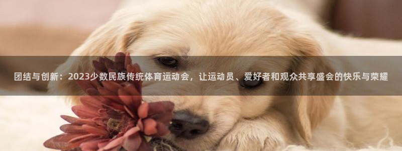 oety欧亿体育官网下载联系电话：团结与创新：2023少数民