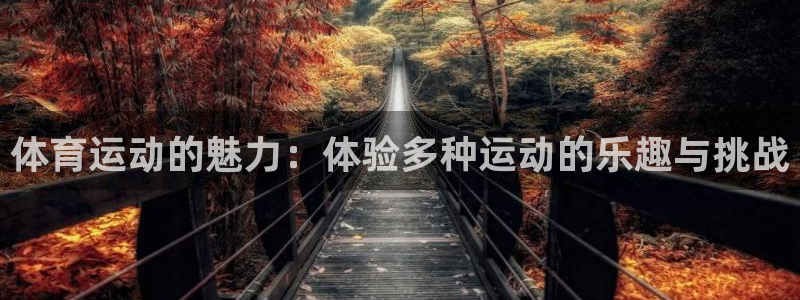 欧亿体育官方正版app科技：体育运动的魅力：体验多种运动的乐