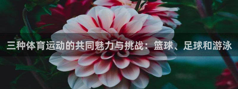 oety欧亿体育官网下载平台假的吗是真的吗：三种体育