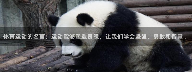 欧亿体育官方集团官网：体育运动的名言：运动能够塑造灵