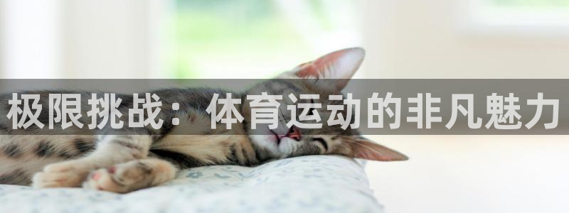 欧亿体育官方平台体育：极限挑战：体育运动的非凡魅力