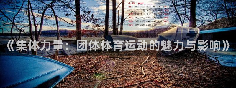 oety欧亿体育官网下载招商电话地址：《集体力量：团
