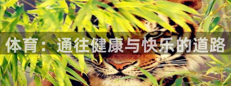 oety欧亿体育官网下载招商电话是多少啊：体育：通往