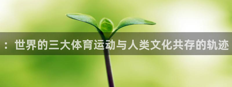 oety欧亿体育官网下载官方客服电话：：世界的三大体育运动与