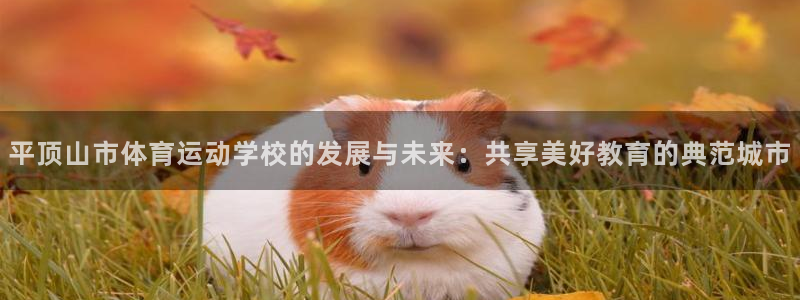 德国欧亿体育官方正版app集团：平顶山市体育运动学校