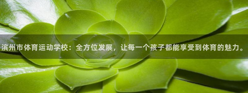 oety欧亿体育官网下载招商电话号码是多少：滨州市体