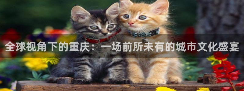 河豚搞笑：全球视角下的重庆：一场前所未有的城市文化盛宴