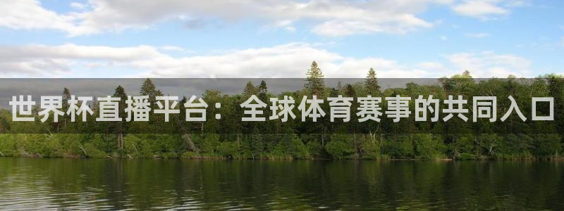 河豚体育在线直播：世界杯直播平台：全球体育赛事的共同入口