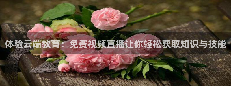 河豚体育赛事直播：体验云端教育：免费视频直播让你轻松获取知识与技能