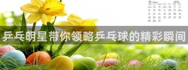 河豚体育免费直播：乒乓明星带你领略乒乓球的精彩瞬间