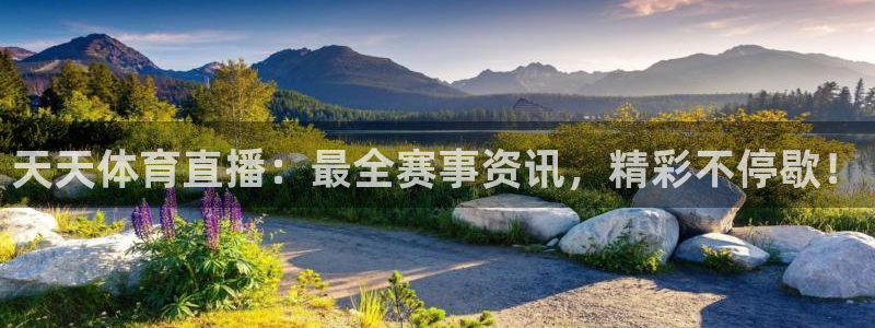 河豚nba直播：天天体育直播：最全赛事资讯，精彩不停歇！