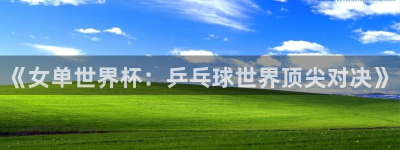 河豚体育直播网：《女单世界杯：乒乓球世界顶尖对决》