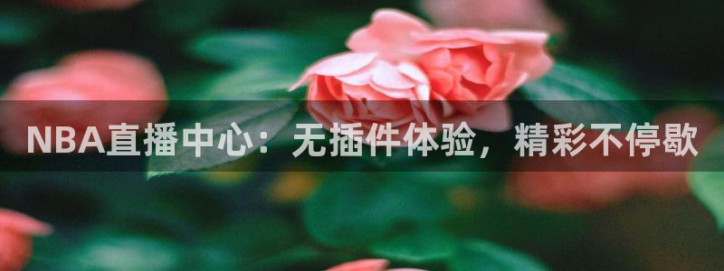 河豚免费nba在线直播：NBA直播中心：无插件体验，精彩不停歇