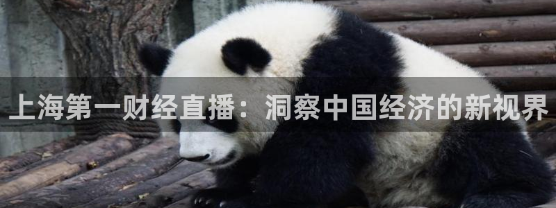 nba河豚体育直播：上海第一财经直播：洞察中国经济的新视界