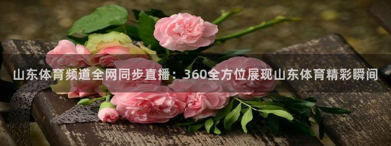 nba直播河豚：山东体育频道全网同步直播：360全方位展现山东体育精彩瞬间