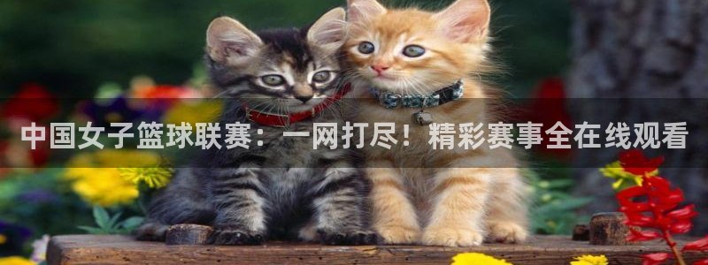 河豚体育直播cba免费下载：中国女子篮球联赛：一网打尽！精彩赛事全在线观看