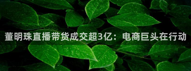 河豚体育赛事直播：董明珠直播带货成交超3亿：电商巨头在行动